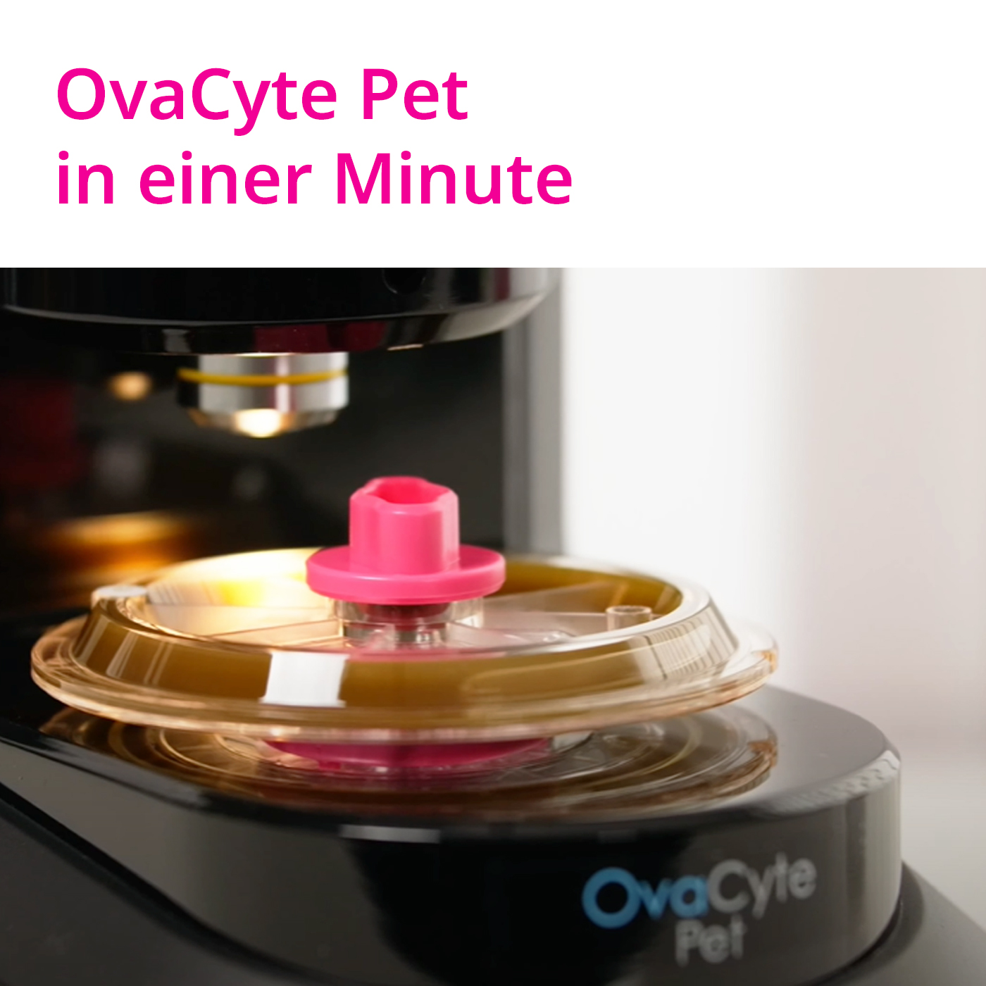 OvaCyte Pet in einer Minute