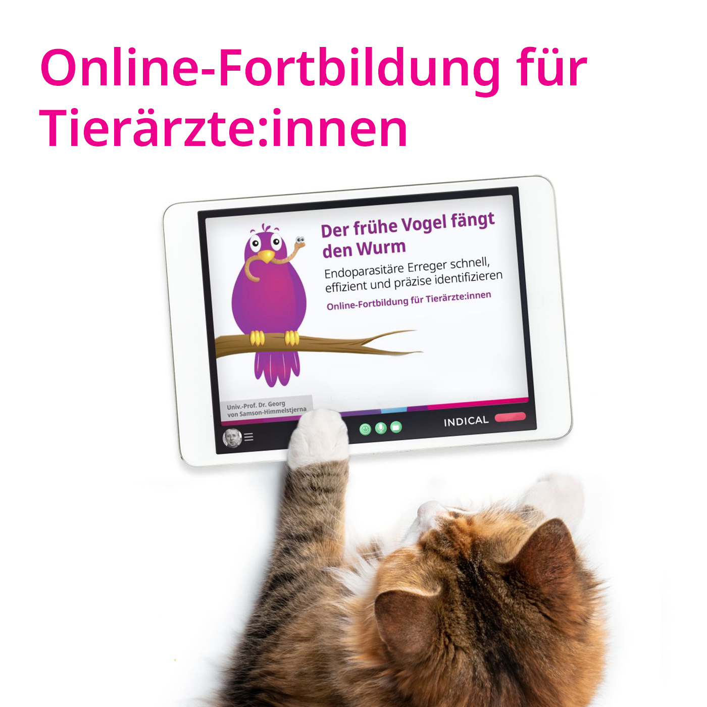 Online Fortbilding für Tierarzte:innen